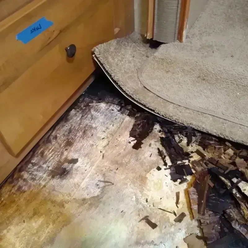 Wood Floor Water Damage in Pearson, GA